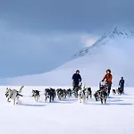 بيت خشبي Reisa *