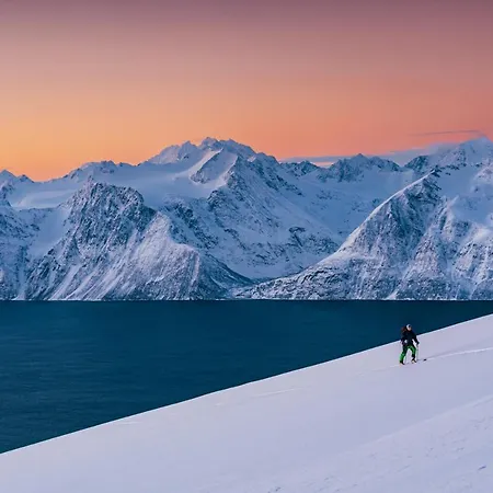 Reisa * 스토스렛