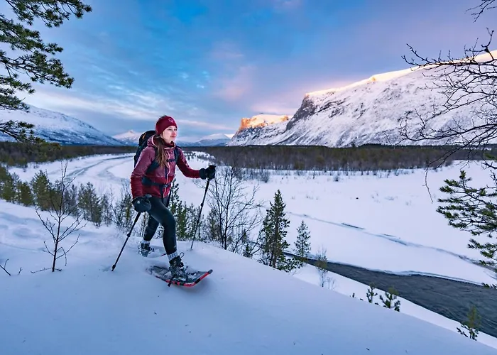 Reisa بيت خشبي