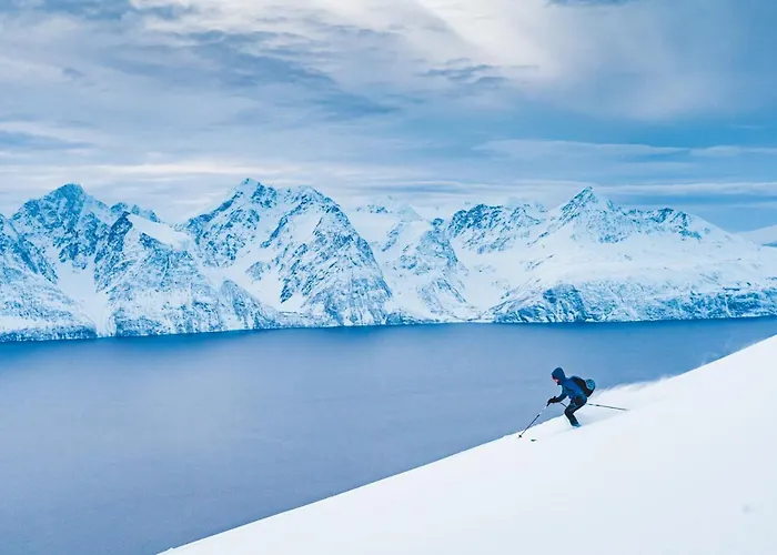 Reisa بيت خشبي