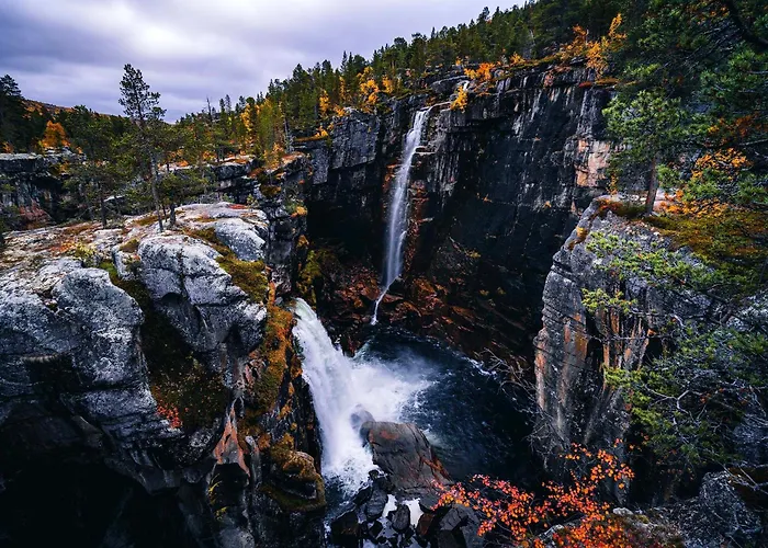 Reisa بيت خشبي *