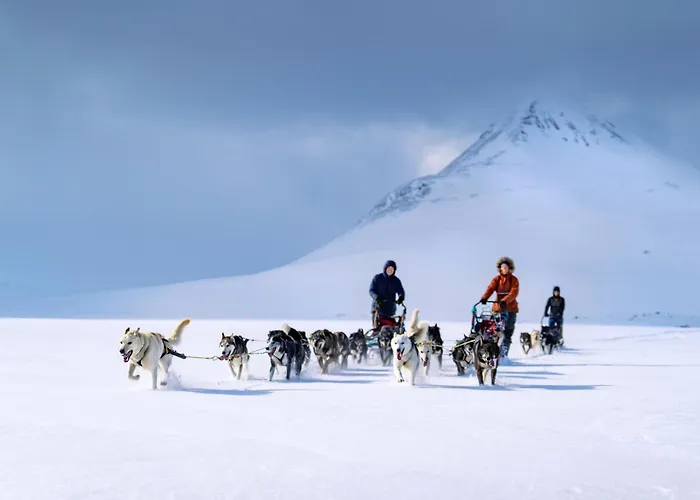 بيت خشبي Reisa *