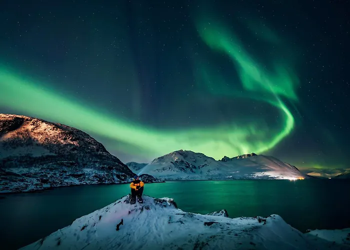 بيت خشبي Reisa