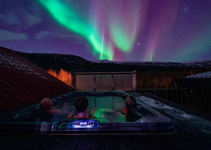 Reisa بيت خشبي