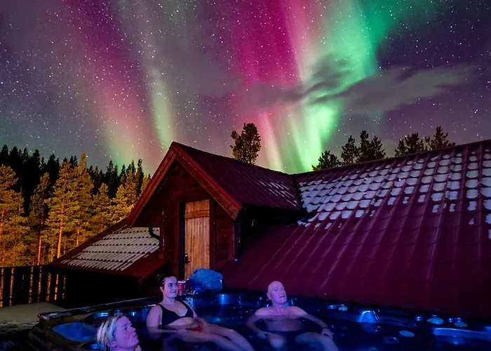 Reisa بيت خشبي